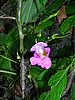 DSCN1187.JPG