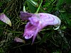 DSCN1190.JPG
