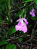 DSCN1193.JPG