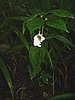 DSCN0926.JPG