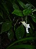DSCN0927.JPG