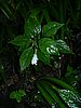 DSCN0928.JPG