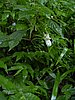DSCN0930.JPG