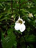 DSCN0937.JPG