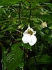 DSCN0938.JPG