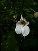 DSCN0939.JPG