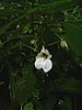 DSCN0940.JPG