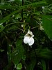 DSCN0943.JPG