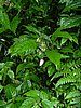 DSCN0944.JPG