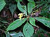 DSCN1245.JPG