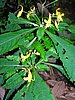 DSCN1248.JPG