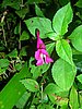 DSCN1496.JPG