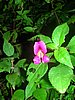 DSCN1497.JPG