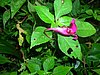 DSCN1498.JPG