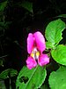 DSCN1500.JPG
