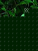 DSCN1501.JPG