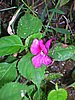 DSCN1593.JPG