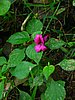 DSCN1594.JPG