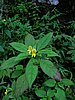 DSCN0498.JPG