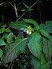 DSCN0504.JPG